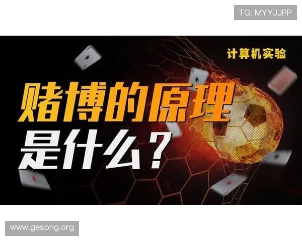 关注卡塔尔与瑞士比赛中的反赌球警示信息及防范策略指南